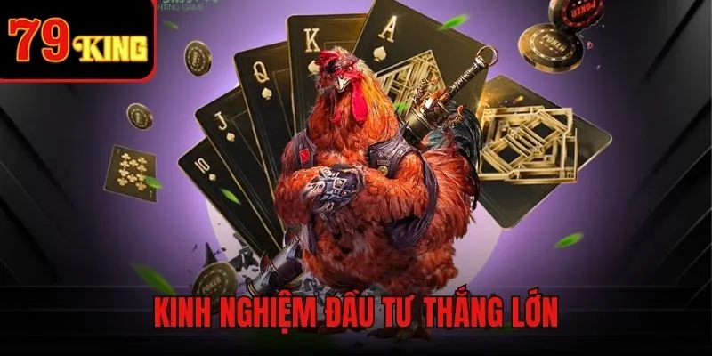 Bí quyết thắng lớn trong mọi trận Thomo đá gà