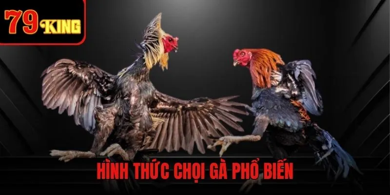 Loại hình chọi đòn phổ biến